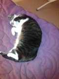 image00000013