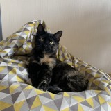 thumbnail_IMG_8087