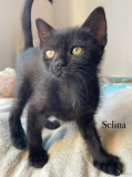 Selina1