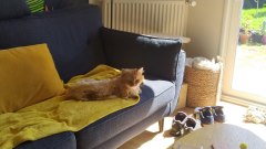 IMG_20220421_153201