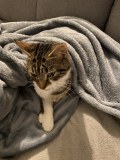 IMG_4985