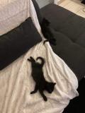chat_5