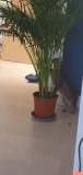received_245038543682306