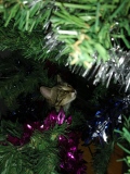 IMG_20211216_232412