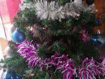 IMG_20211229_114322