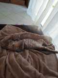 IMG-20210826-WA0000
