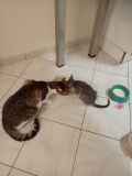 IMG20210808205418