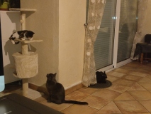 les3