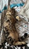 photo_2