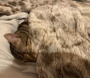photo_3