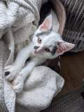 received_337191121386955