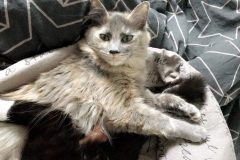 Smoky-e1553538332159
