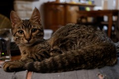 IMG_7601_DxO