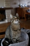 IMG_7618_DxO