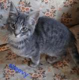 Steevy2