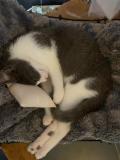 IMG-20230921-WA0001
