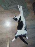 image0000021