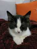IMG-20211206-WA0000