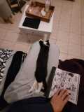 IMG-20211206-WA0003