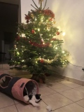 IMG_20211205_191957