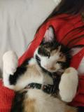 IMG20251014131601_BURST002