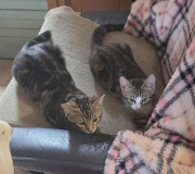 tchoupy-et-maya