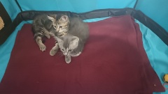 IMG20220716152322