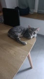 IMG20220902085013
