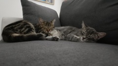 IMG20220923142117