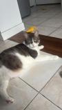 IMG-20260518-WA0000