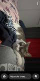 IMG-20260518-WA0002