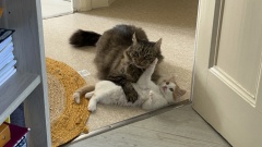 photo_6