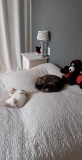 1_photo_8