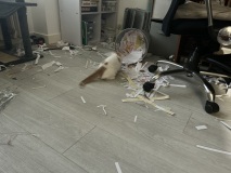 1_photo_9