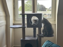 photo_10