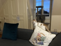 photo_2