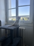 photo_3
